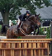 Picture: 9 yo gelding by Landor S, showing successfully in the performance hunter 3'6