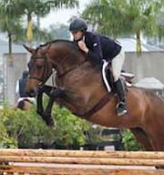 Picture: 5 yo gelding by Cristiano: showing successfully in the baby green