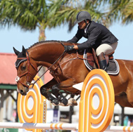 WEF 2011 qualifier for 7 yo, on Zerlando